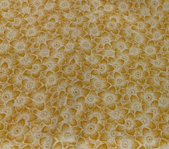 YELLOW & GOLD FLORAL – COTTON– 1 5/8 YARDS