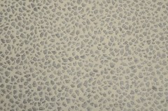 Spot On Zinc Gray Abstract Polka Dot on Cream PKaufmann Multipurpose Fabric