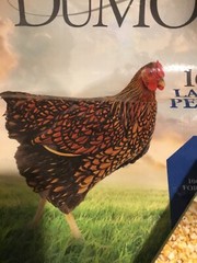 Assorted 50 Pound Feed Bags Chickens Cows Goats Set of Four Empty