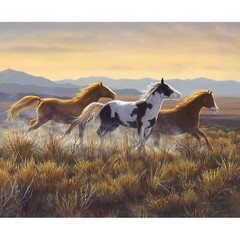 Wild Horses Digitally Printed 36″ x 43″ Panel Open Country
