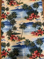 Remnant – Vintage Hawaiian Scene Cotton fabric – 30 X 45”