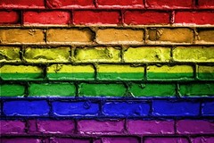 Pride #2 – 8″ x 10″ – T Shirt Hoodie Iron On Transfer