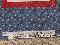 VINTAGE “COUNTRY SUNSHINE FOLK SAYINGS” BLUE & RED CALICO 16 Quilt Squares NOS