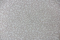 LEE JOFA CUTRAIN FABRIC DESIGN VermIcelli Print 5.9 METRES 100% COTTON