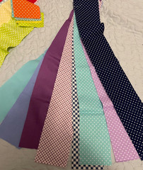 Riley Blake Designs PRECUT STRIP PACK (3″ x 21″) 24 Ct/Dots, Solids, Checks