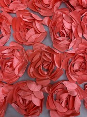 Maci CORAL 3D Floral Polyester Satin Rosette on Mesh Fabric by the Yard – 10057