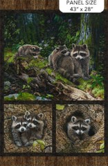 Little Rascals Raccoon cotton quilt fabric Northcott Stonehenge Bark 25515-93
