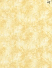 Solid-ish Tone on Tone cotton quilt fabric BTY Timeless Treasure NATURAL cream
