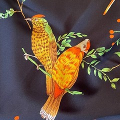 1+ Yard Black Fabric With Tropical Birds Leaves Satin Silky Gold Yellows Reds