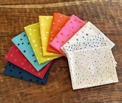 10 Fat Quarters Bundle Ruby Star Society “Starry” Quilt Cotton