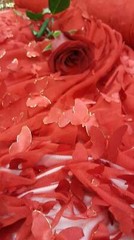 Red Embroidered Lace 3d Satin Butterflies Fabric By The Yard Gown Quinceañera