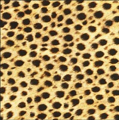 Robert Kaufman Animal Kingdom Wild 19871-286 Cotton Fabric by the Yard