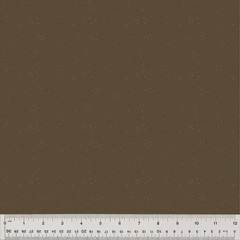 WINDHAM – Nature Study 2.0 by Whistler Studios – Astra – Sequoia 1/4yd