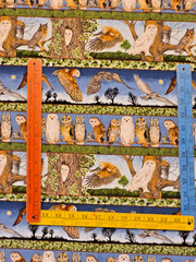 Owl border Makower UK realistic many owl species great colors 32″l x 25″ w +