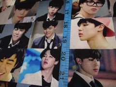 BTS Korean Band on 100% Cotton Fabric by the 1/4 Yard: 9″ x 57″ (K-pop) (Jimin)