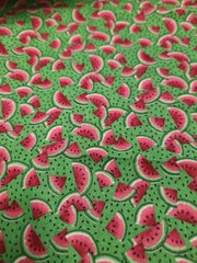 Watermelon Picnic Summer Ants Applique Quilting fabric 100 cotton by 1/2 yard