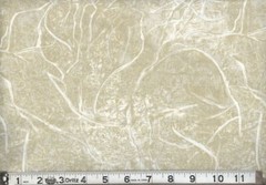 108″ Extra Wide Quilt Backing BTY 100% Branches Natural