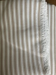 Bella-Dura | Outdoor Canvas | Ticking Stripe | LATTE BISQUE |