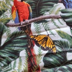 Vintage Fabric Springs Wings Of Paradise Parrots Birds Butterflies 34×45″ Cotton