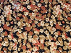 3/4+ Yd Small Cream Tan Daisies on Black Cotton Quilt Fabric Japan Hobby Lobby