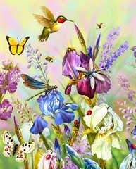 The Hummingbird Panel David Textiles Cotton Size 35.5 W
