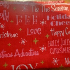 Riley Blake Designs “Christmas Adventure” 2021 Bundle. See Description!