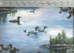 Elizabeth’s Studio~ Realistic Loons Rural Lake ~ 100% Cotton Quilt Fabric BTY