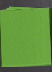 1 yard glissinet 60″ wide 90% nylon 10% spandex green
