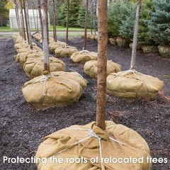 Burlap Fabric – Garden Burlap Fabric Roll Natural Jute Outdoor Fabric Burlap Wee