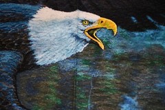 David Textiles National Treasures Bald Eagle Panel 36×45″