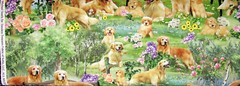 Golden Retriever Dog Fabric By The Yard Garden Cotton Timeless Treasures CD2944