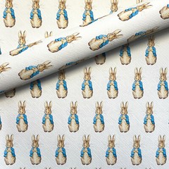 Peter Rabbit on White Faux Leather Sheet 20x30cm