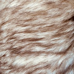 Faux Fur Fabric – Cream with Light Brown(#FFL13) – By the Yard