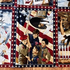Boy Scouts America Patriotic Stars Stripes Panel Joseph Csatari