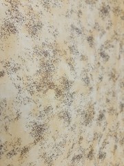 2 Yards Yellow Ombre Brown Tan 100% Cotton Quilting Blender Mixer Fabric
