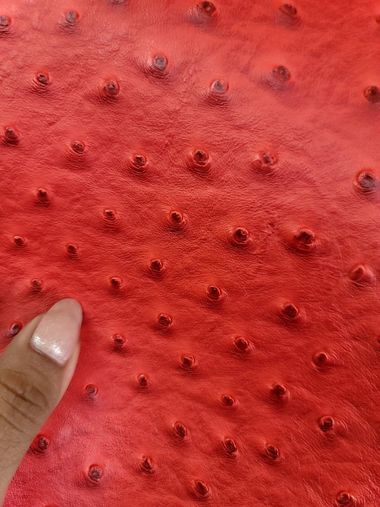 Red Vinyl Ostrich Fabric Sold By The Yard Textured Embossed Upholstery Crafts