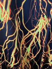 Thunder Design Print On Great Quality Of Nykon Spandex 4-way Stretch 58/60”