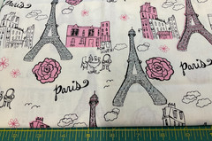 BROTHER SISTER DESIGN STUDIO #B38-6D-P09 PARIS – 1 YARD