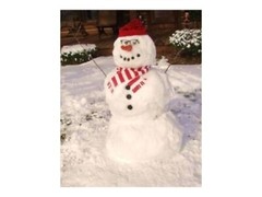 100% WOOL FABRIC for PENNY RUGS & APPLIQUE Mill-Dyed {Solid White} ~13″x16″ ea.