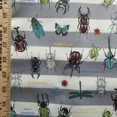 Gray & White Stripe Light Cotton Duck Cloth – from Japan w/ Beetles!