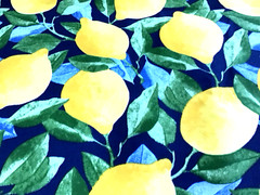 Richloom Solarium Outdoor Fabric Lemons Citrus In Sapphire 4.5 Yard Lot