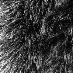 Eden BLACK Shaggy Long Pile Soft Faux Fur Fabric for Fursuit, Cosplay Costume,
