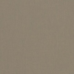 SUNBRELLA TAUPE 6048 SHADE CANVAS FABRIC AWNING MARINE WATERPROOF 60″ WIDE BY YD