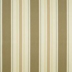 Covington Solution Dyed Outdoor/Indoor Upholstery Fabric SD- Cayman 69 Driftwood