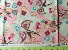 Blush by Basic Grey for Moda Fabric. 2 yards/2 prints #30201 & 30204 Cotton. OOP