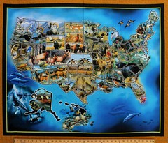 36″ X 44″ Panel United States of America Wildlife USA Map Cotton Fabric D576.33