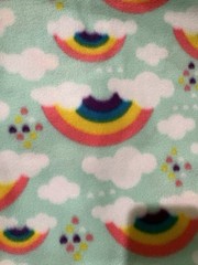 Blizzard fleece fabric Rainbow 2 Yards X 58”