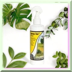 EcoGrip Non-Toxic Fast-Drying Spray Adhesive 8oz
