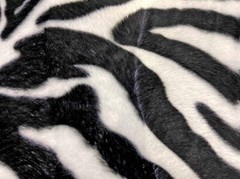 60″ Zebra Animal Pattern Short Pile Smooth Faux Fur Velboa S-Wave Fabric BTY