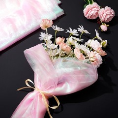 Rainbow Iridescent Organza Fabric – 11 Yard Roll